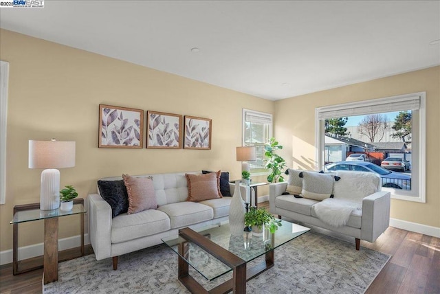 living room featuring hardwood / wood-style floors