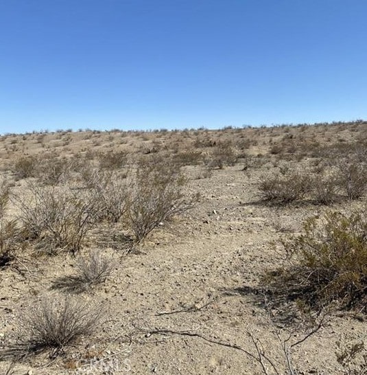 154 Rattlesnake Gulch, Oro Grande, CA 92368 - photo 4