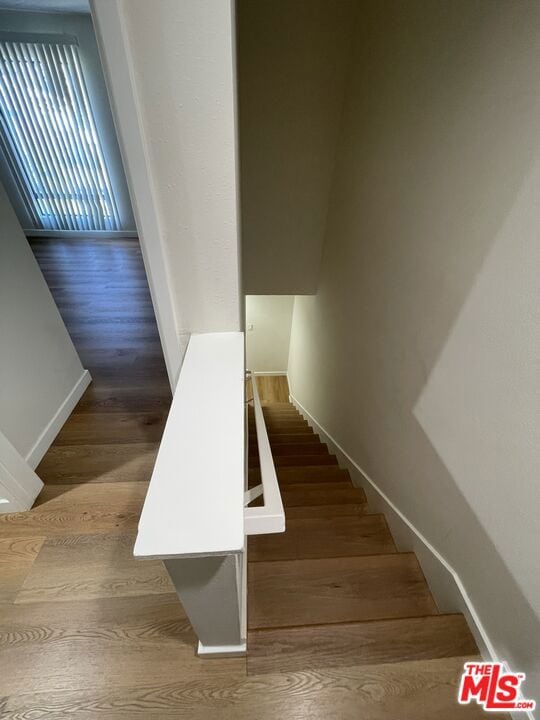 staircase featuring wood-type flooring