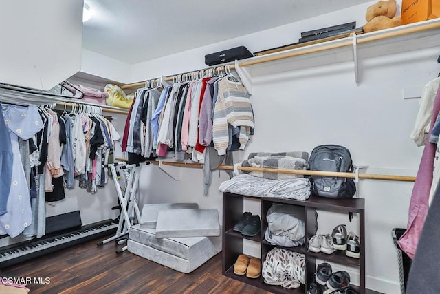 spacious closet featuring dark hardwood / wood-style flooring