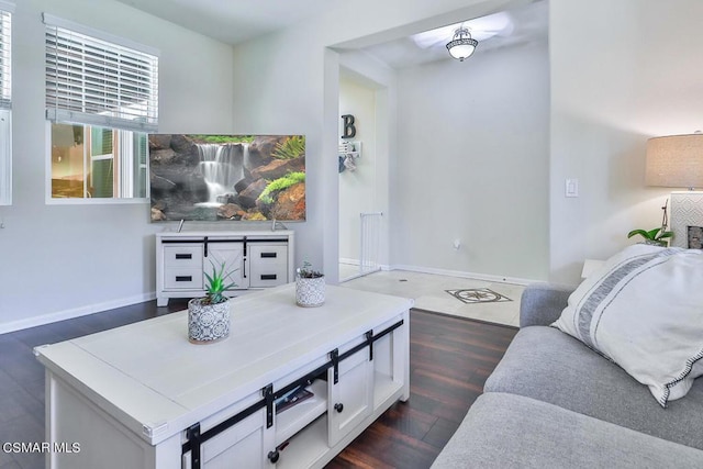 living room featuring dark hardwood / wood-style flooring