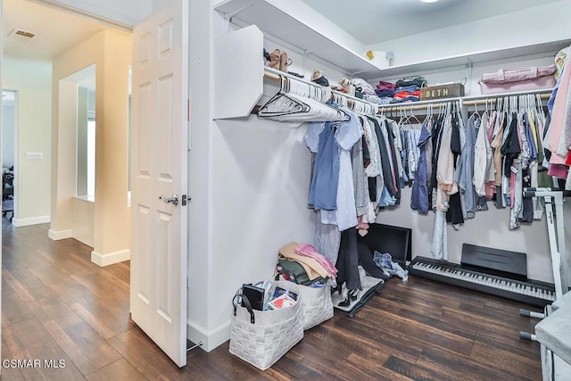 spacious closet featuring dark hardwood / wood-style floors