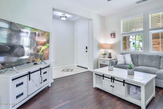 living room featuring dark wood-type flooring