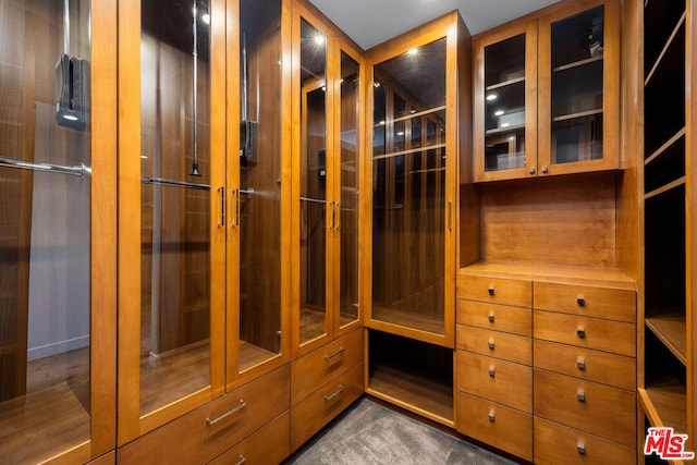 view of walk in closet