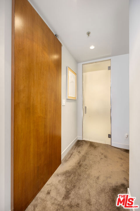 corridor with carpet floors