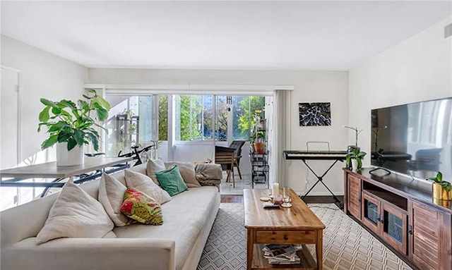 living room featuring hardwood / wood-style floors