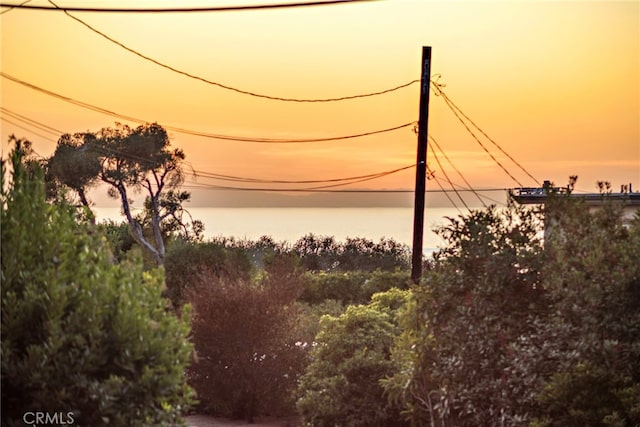 nature at dusk featuring a water view