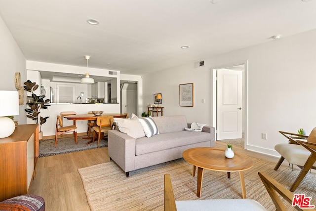 living room featuring light hardwood / wood-style flooring