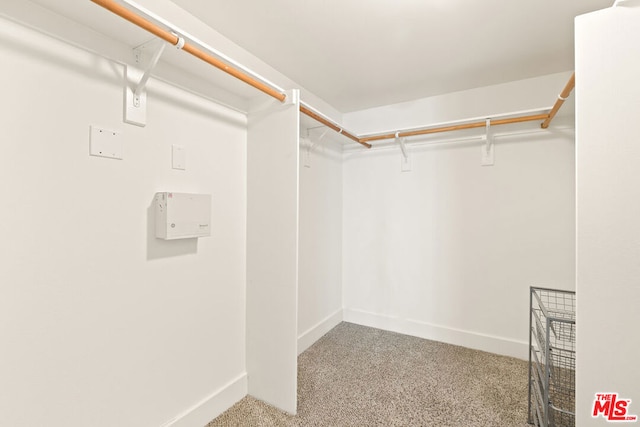 spacious closet featuring carpet