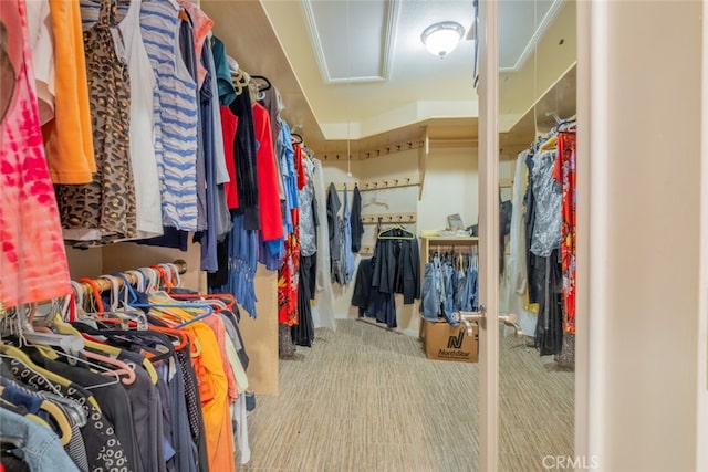 walk in closet featuring carpet floors