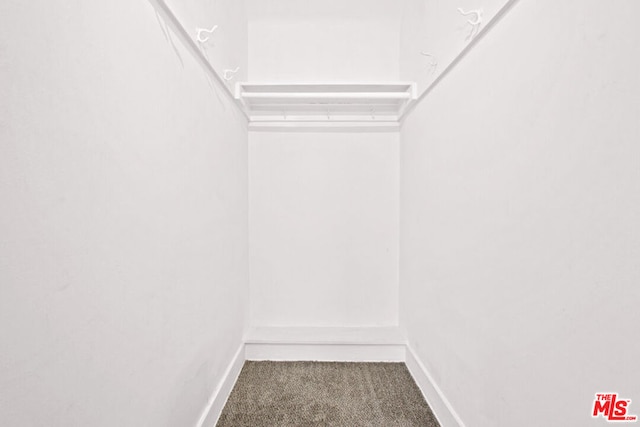 walk in closet with carpet