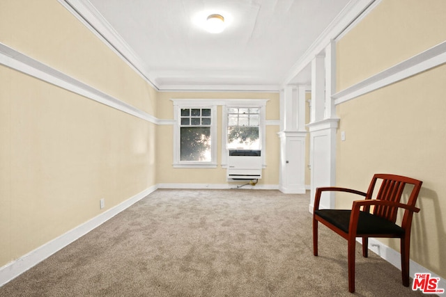 living area with crown molding, carpet, and heating unit