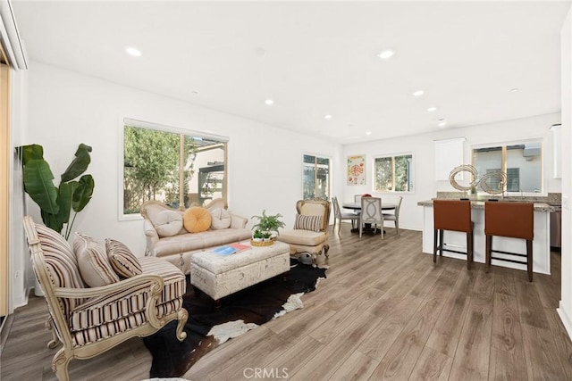 living room with dark wood-type flooring