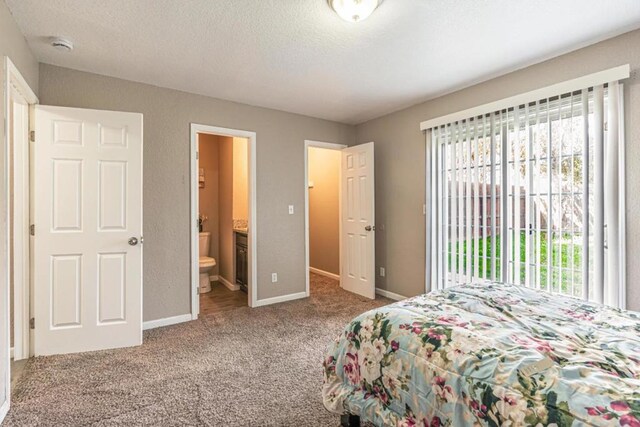 bedroom featuring multiple windows, ensuite bath, a textured ceiling, and carpet flooring