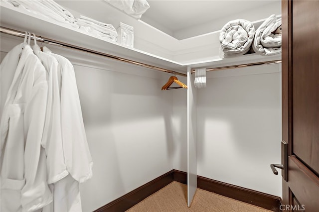 walk in closet with carpet