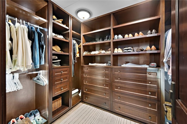 view of spacious closet