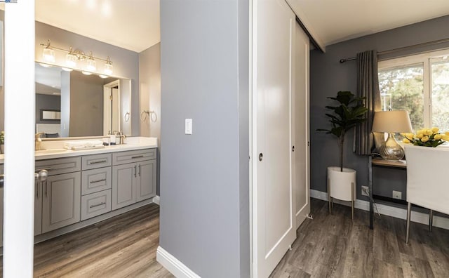 bathroom with vanity and hardwood / wood-style floors