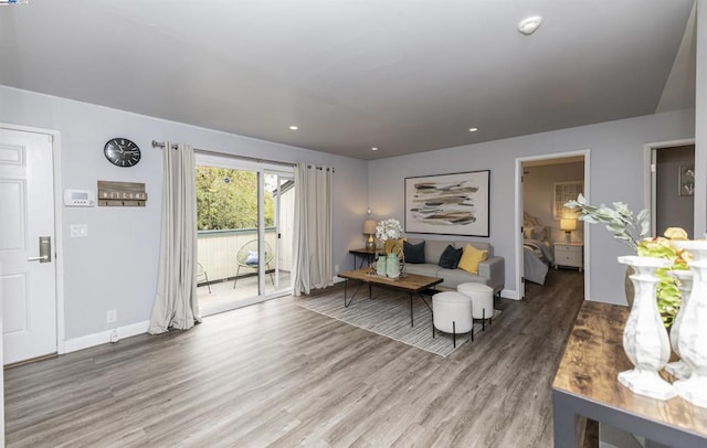 living room featuring wood-type flooring