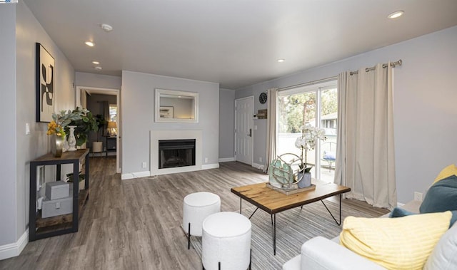 living room with hardwood / wood-style flooring