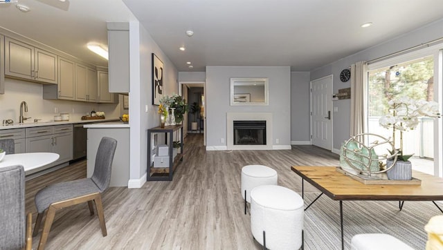 living room with sink and light hardwood / wood-style flooring