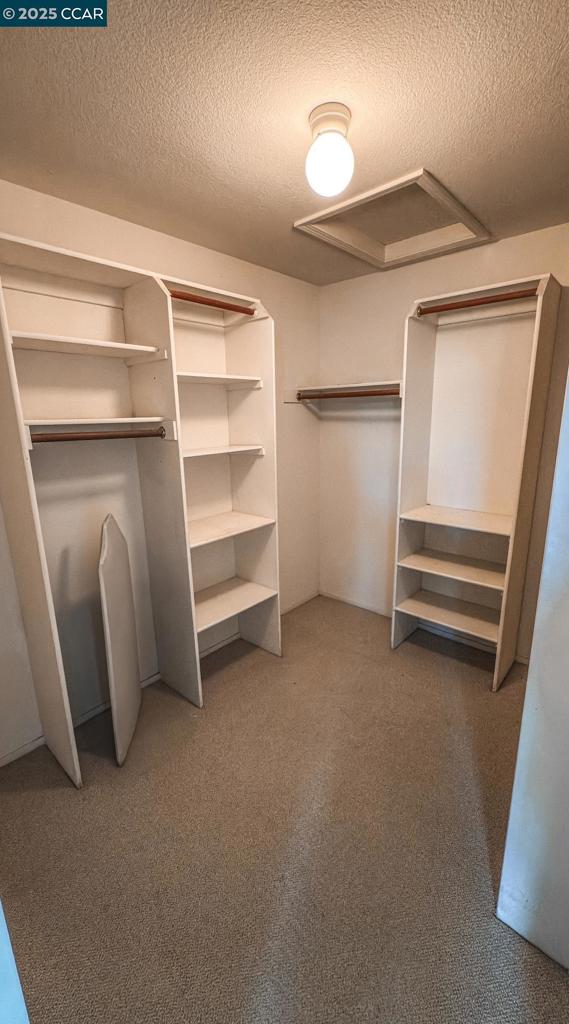 walk in closet with carpet floors