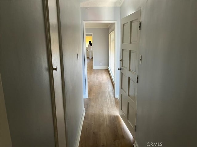 corridor with hardwood / wood-style floors