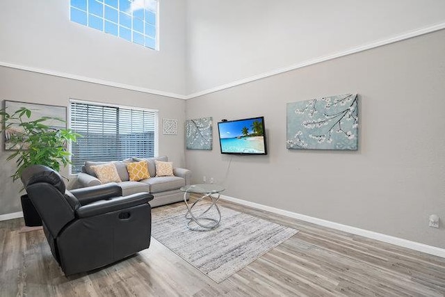 living room with hardwood / wood-style floors and a high ceiling