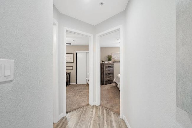 hall with light hardwood / wood-style flooring