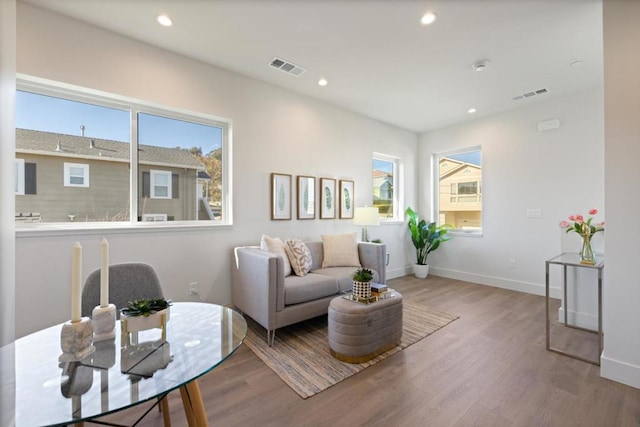 living room featuring a wealth of natural light and light wood-type flooring