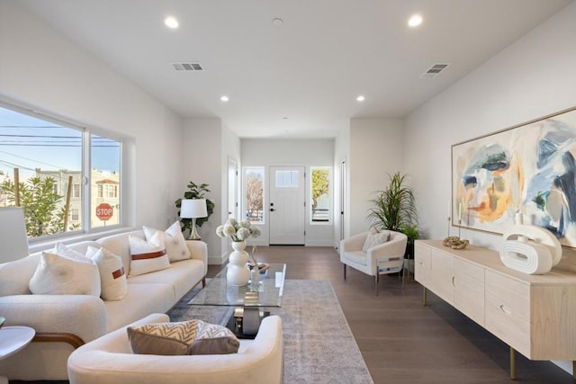 living room featuring dark wood-type flooring