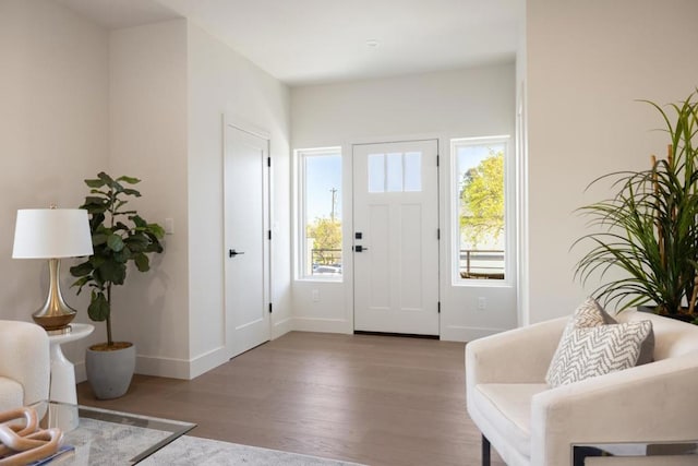 foyer featuring a healthy amount of sunlight and hardwood / wood-style floors