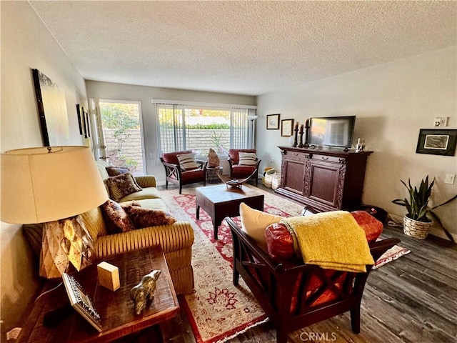 living room with hardwood / wood-style floors and a textured ceiling