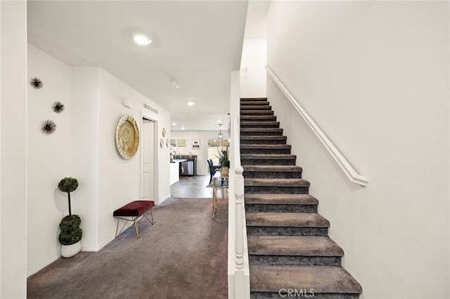 staircase featuring carpet floors