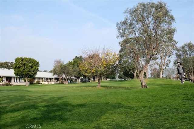 view of property's community featuring a lawn