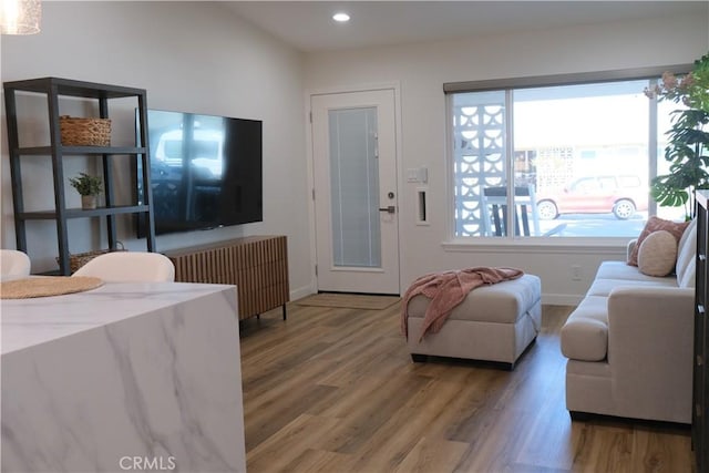 living room with wood-type flooring and a healthy amount of sunlight