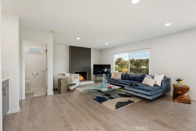 living room featuring a large fireplace and light wood-type flooring