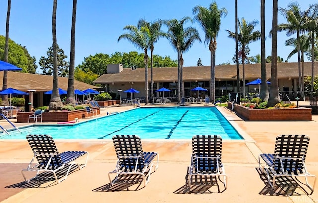 view of pool featuring a patio area