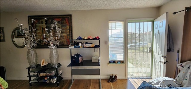 entryway with hardwood / wood-style flooring and a textured ceiling