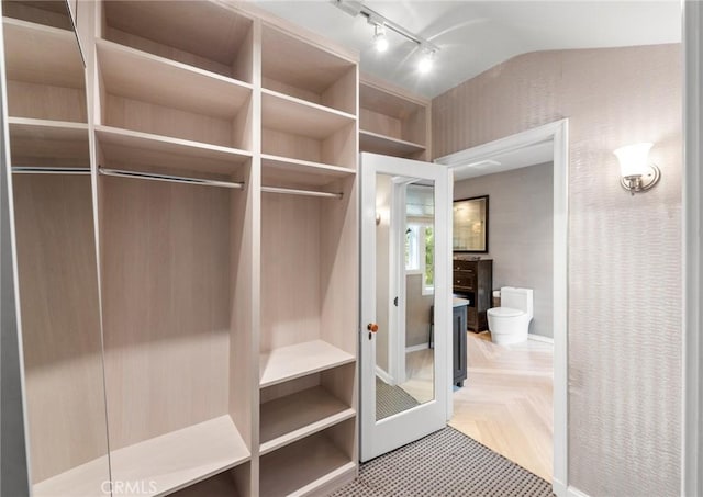 spacious closet with lofted ceiling