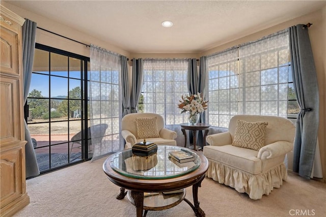 living area featuring light carpet