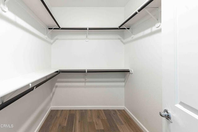 walk in closet featuring dark hardwood / wood-style floors