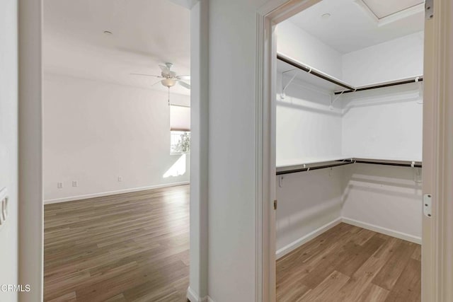 spacious closet with ceiling fan and light hardwood / wood-style floors