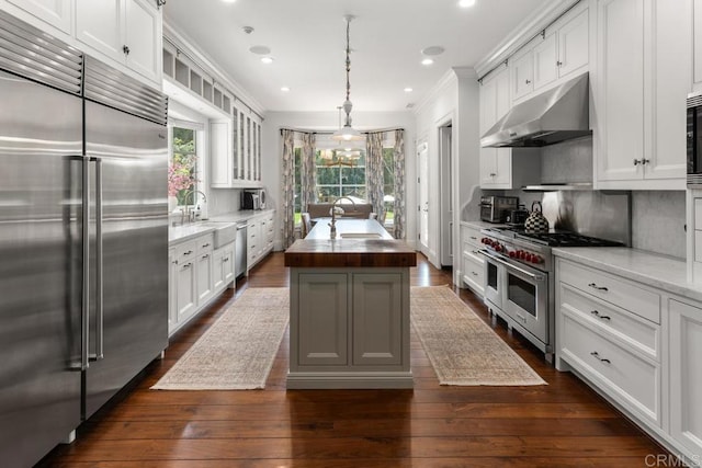 kitchen with an island with sink, high end appliances, ornamental molding, under cabinet range hood, and a sink