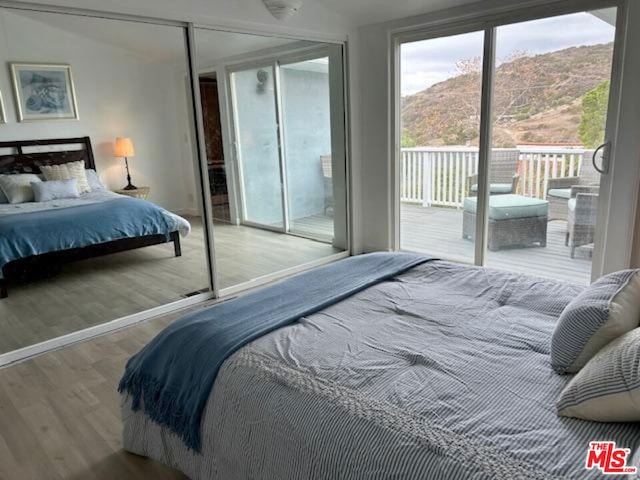 bedroom featuring wood-type flooring, a mountain view, access to exterior, and a closet