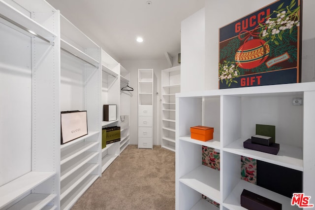 walk in closet with light colored carpet