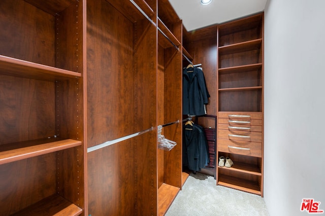 walk in closet with light colored carpet