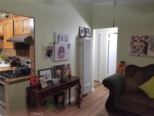 living area with ornamental molding and light wood-type flooring