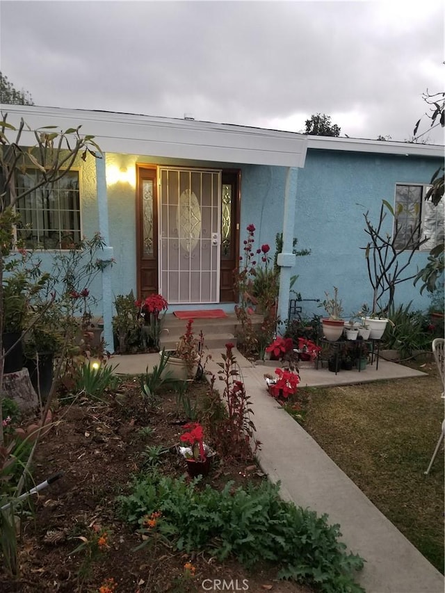 doorway to property featuring a patio and stucco siding