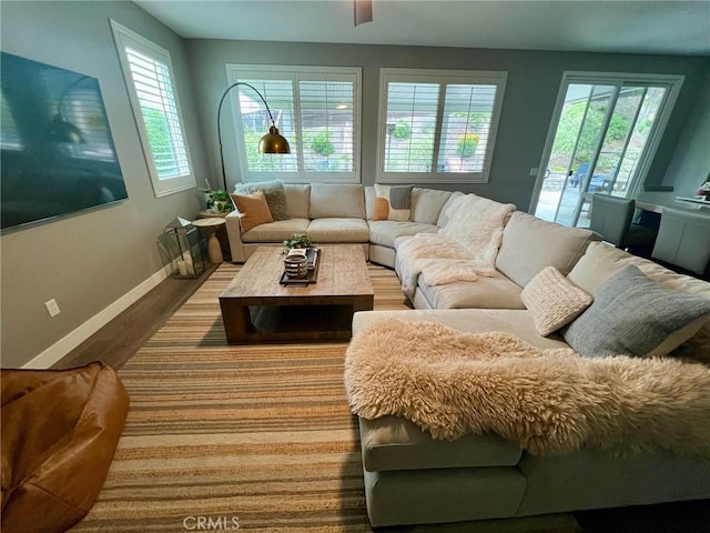 living room featuring hardwood / wood-style floors