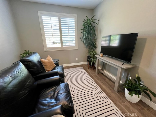 living room with dark hardwood / wood-style floors